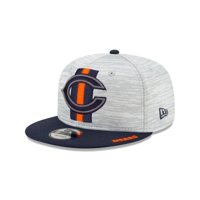 Chicago Bears Gorra | New Era Official NFL Training 9fifty Snapback Cap Mexico - Azules